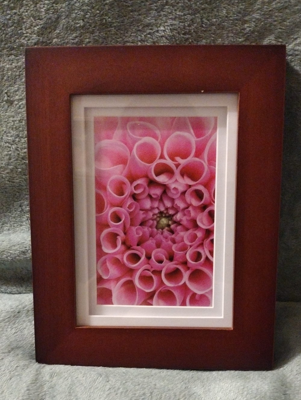 Pink Floral Print in Brown Wood Frame - 4" X 6" Photo